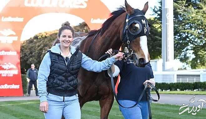 تصویر - رونمایی از اسب 15 میلیارد تومانی آزمون در استرالیا